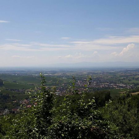 Ferienwohnung Birkental Ebringen Exteriér fotografie