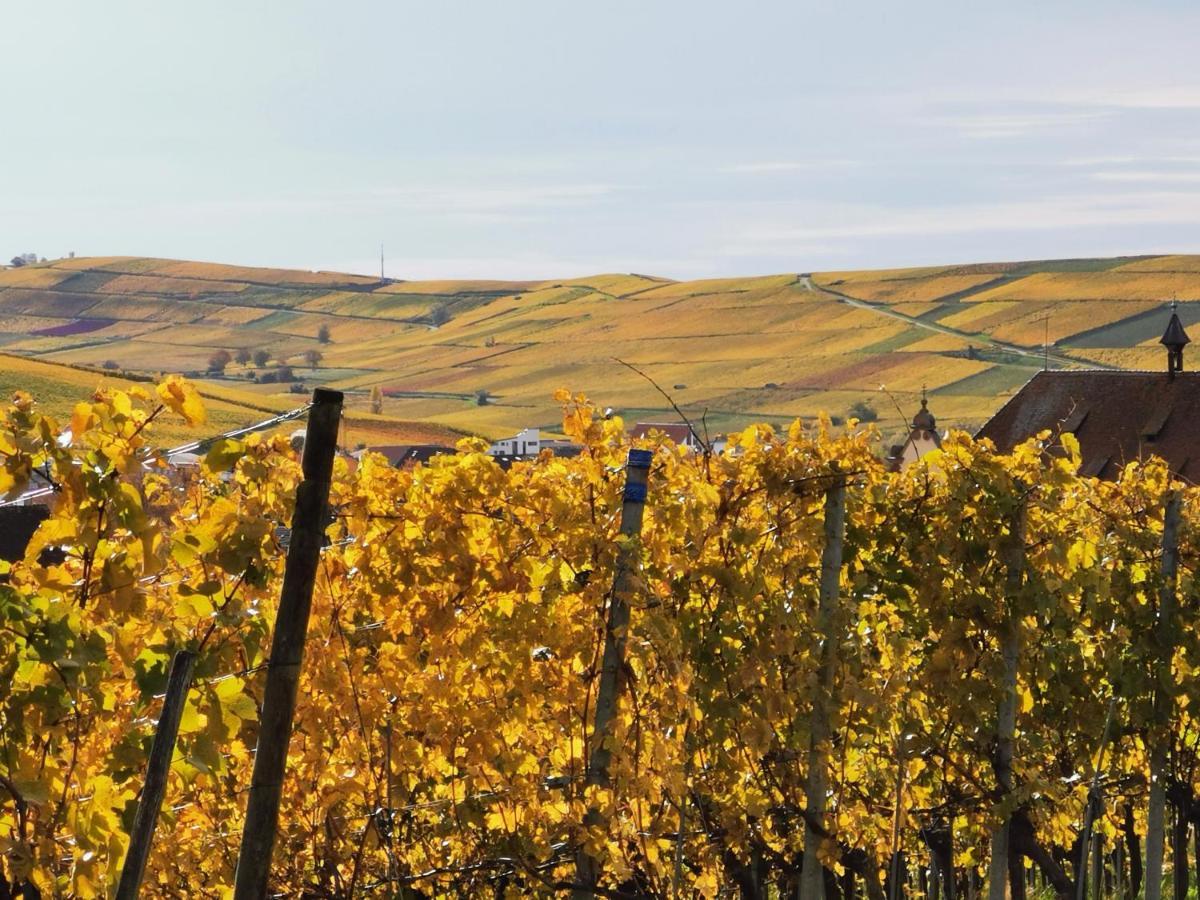 Ferienwohnung Birkental Ebringen Exteriér fotografie