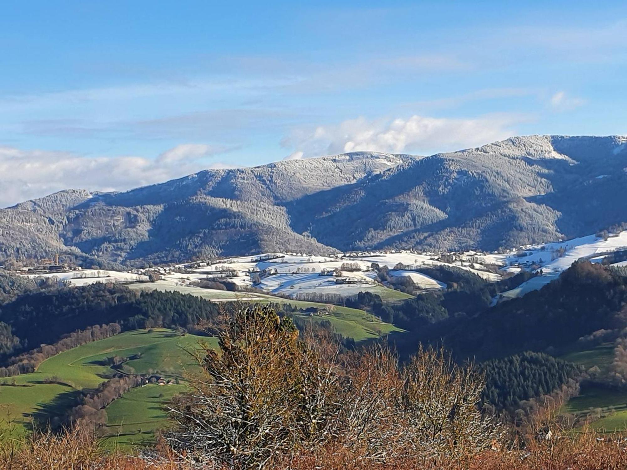 Ferienwohnung Birkental Ebringen Exteriér fotografie