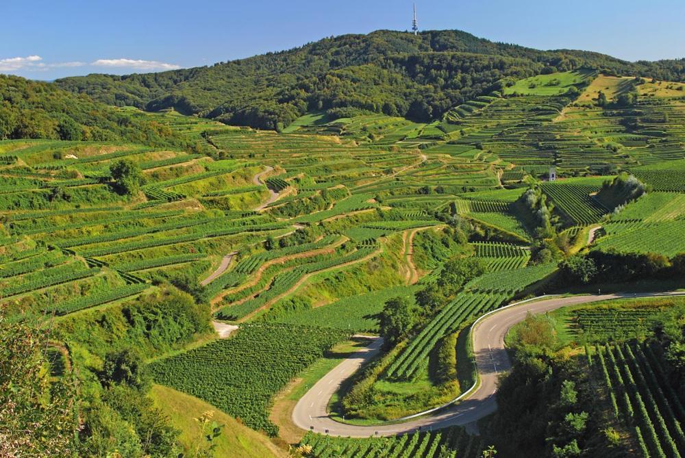 Ferienwohnung Birkental Ebringen Exteriér fotografie