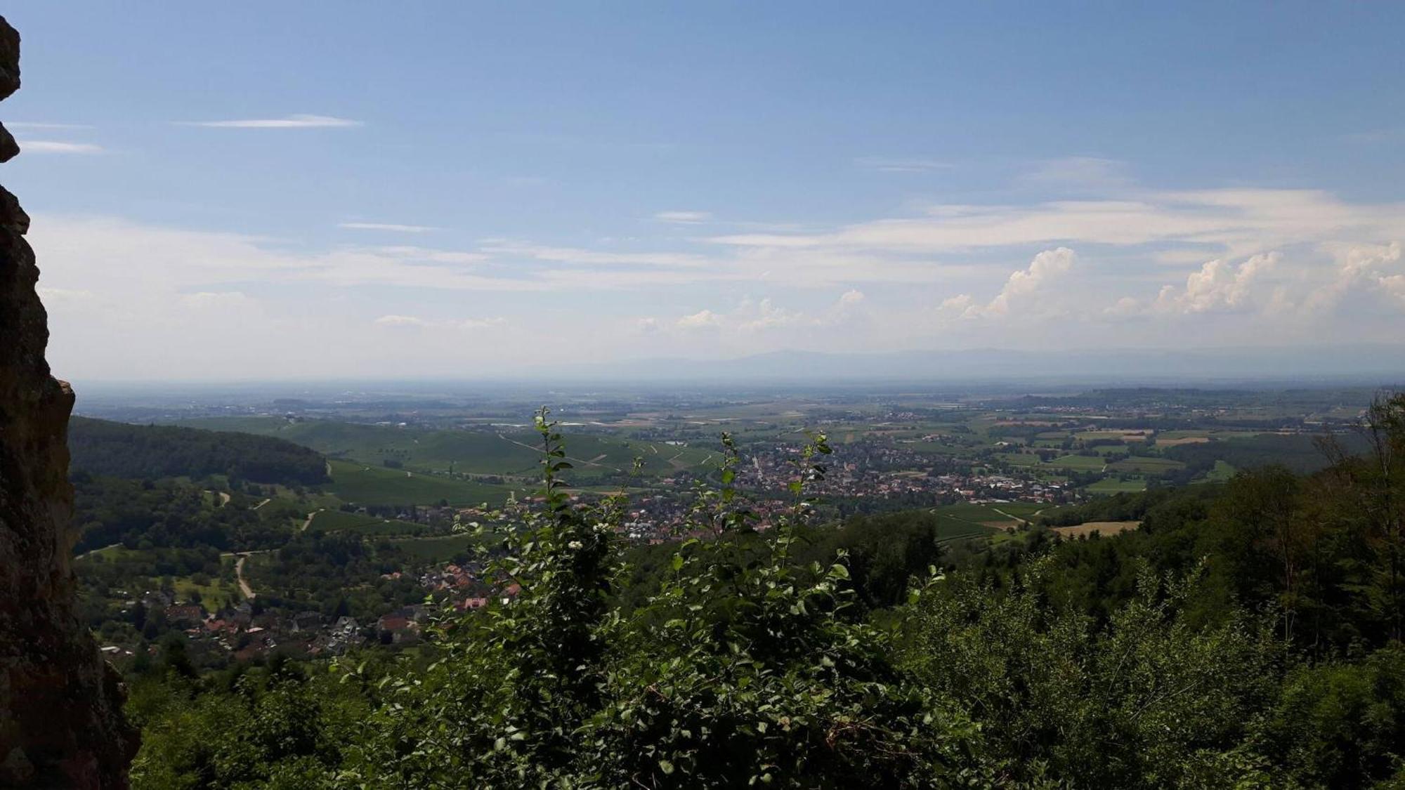 Ferienwohnung Birkental Ebringen Exteriér fotografie