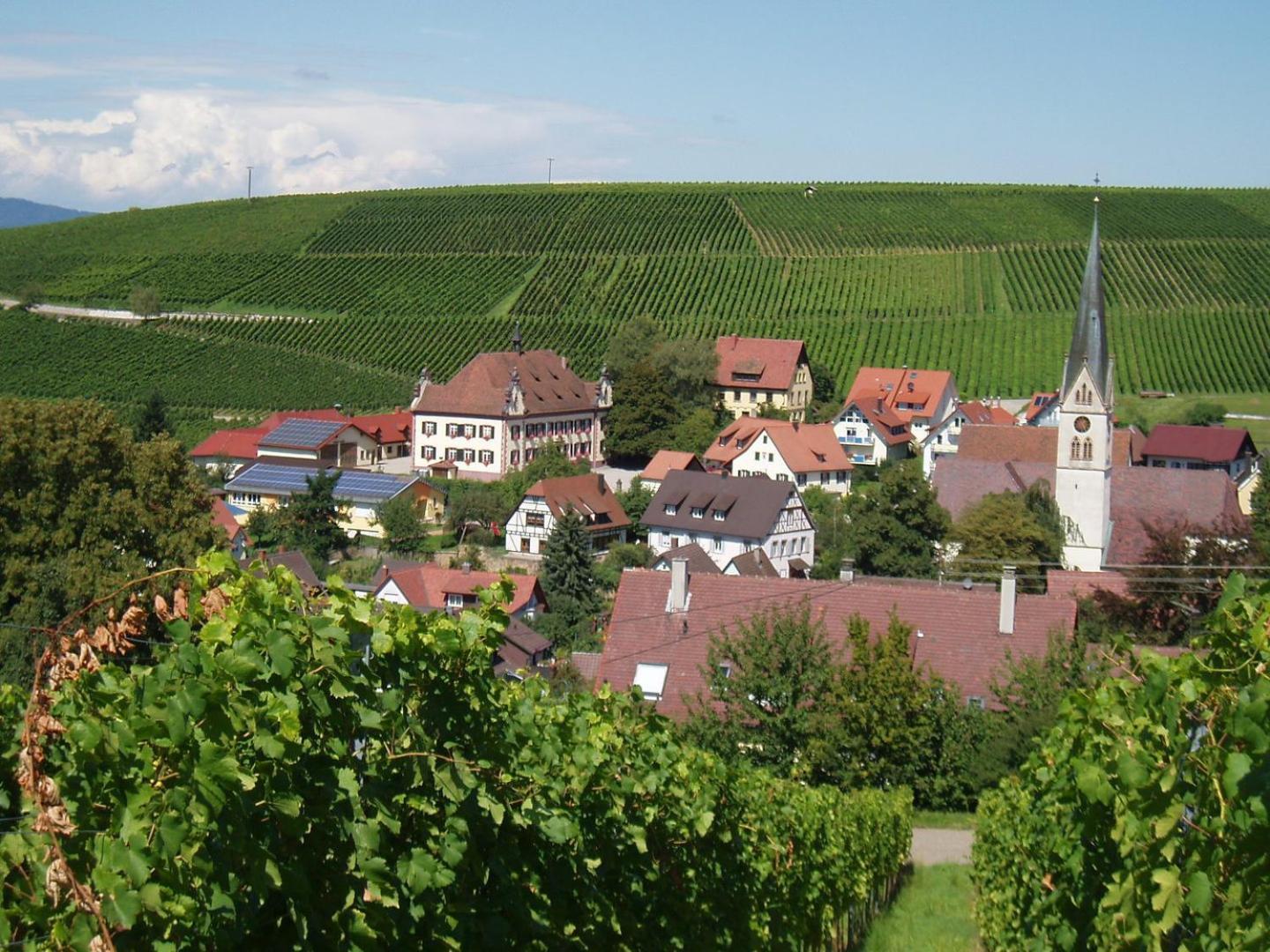 Ferienwohnung Birkental Ebringen Exteriér fotografie